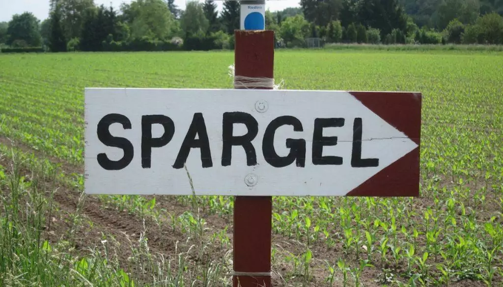 Hier gehts lang: Lecker Spargel im Etzhorner Krug